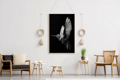 Hummingbird Black & White Wall Art