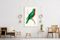 Watorcolor Painting of Green Parrot Wall Art