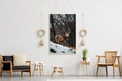 Bactrian Deer Animal Wall Art