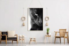 Static Eyes Cat Black & White Wall Art