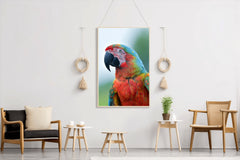 Beautiful Macaw Parrot Wall Art