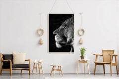 Barbary Lion Black & White Wall Art