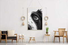 Border Collie Dog Black & White Wall Art