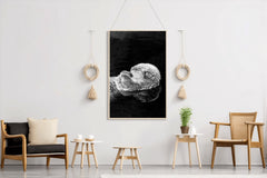 Sea Otter Black & White Wall Art