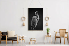 Spoonbills Black & White Wall Art