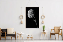 Dahlia Black & White Wall Art