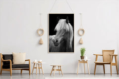 Icelandic Horse Black & White Wall Art