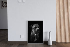 Boxer Dog Black & White Wall Art