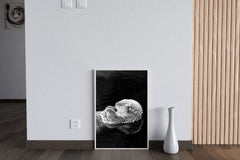 Sea Otter Black & White Wall Art