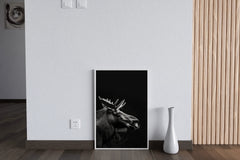 Alaska Moose Black & White Wall Art