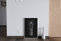 Stallion Black & White Wall Art