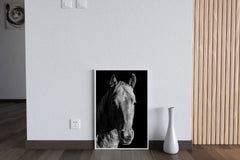 American Quarter Horse Black & White Wall Art