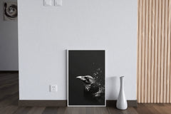 Common Raven Black and White Wall Art