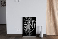 Zebra Black & White Wall Art