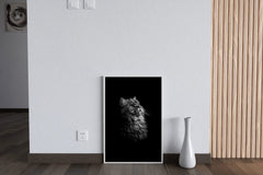 Maine Coon Cat Black & White Wall Art