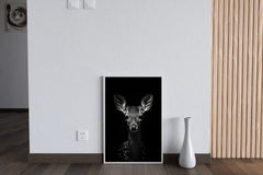 White-Tailed Deer Black & White Wall Art