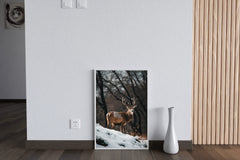 Bactrian Deer Animal Wall Art