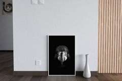 Macaw Black & White Wall Art