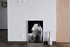 Icelandic Horse Black & White Wall Art