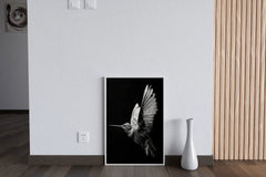 Hummingbird Black & White Wall Art