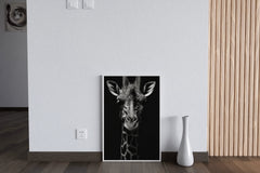 Northern Giraffe Black & White Wall Art