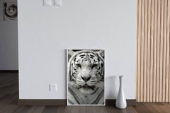 Bengal Tiger Animal Wall Art - beink online art store