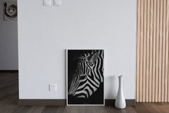 Zebra Black & White Wall Art