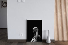 White Stork Bird Black & White Wall Art