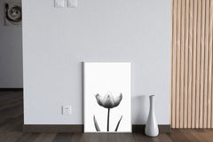 Tulip Black & White Wall Art