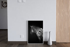 Zebra Black & White Wall Art