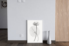 Vintage Lotus Black & White Wall Art