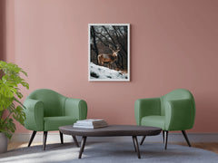 Bactrian Deer Animal Wall Art