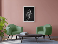 Spoonbills Black & White Wall Art