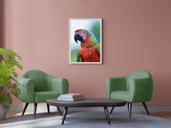 Beautiful Macaw Parrot Wall Art