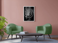 Zebra Black & White Wall Art