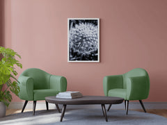 Common Dandelion Black & White Wall Art