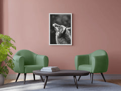 Coyote Black & White Wall Art