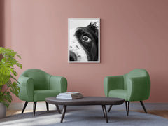 Border Collie Dog Black & White Wall Art