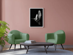 Hummingbird Black & White Wall Art