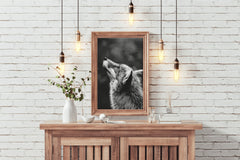 Coyote Black & White Wall Art