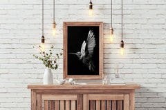 Hummingbird Black & White Wall Art