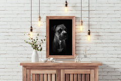 Boxer Dog Black & White Wall Art