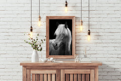 Icelandic Horse Black & White Wall Art