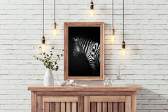 Zebra Black & White Wall Art