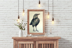 Black Bird - Watercolor Modern Wall Art - beink online art store