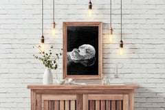 Sea Otter Black & White Wall Art