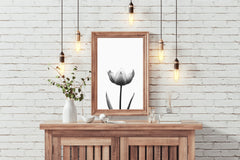 Tulip Black & White Wall Art