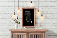 African Bush Elephant Black & White Wall Art