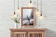 Red Deer Animal Wall Art