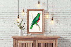 Watorcolor Painting of Green Parrot Wall Art